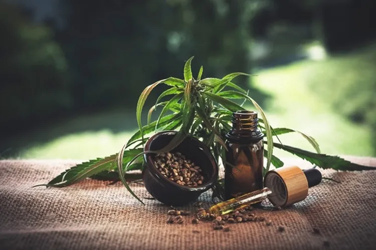What is CBD? Where does it come from? 
