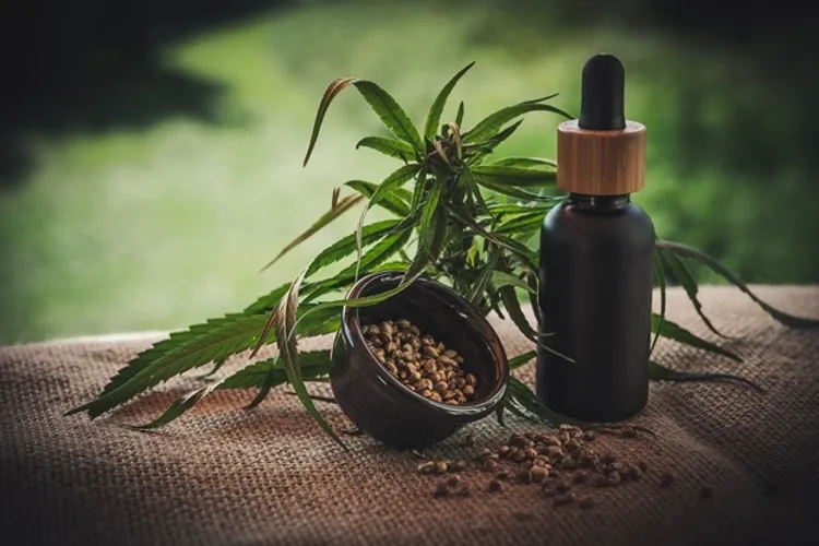 What Is CBD? What Are The Benefits Of CBD Oil?: 